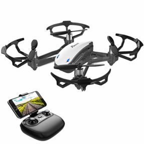 d20 mini drone